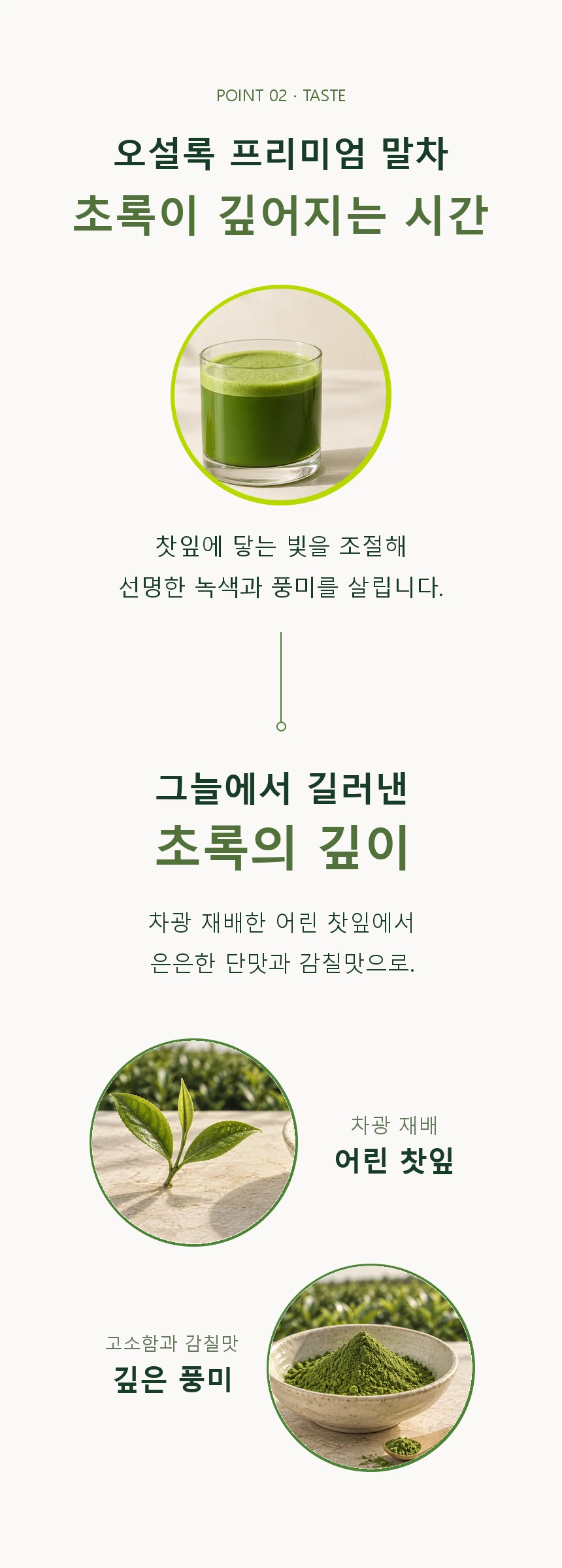 풍미 소개. 차광 재배로 쓴맛을 줄이고 선명한 녹색과 은은한 단맛을 살린 말차의 고소함과 부드러운 감칠맛.