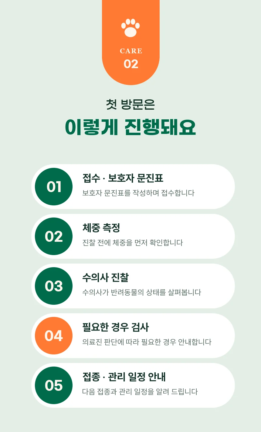 접수·보호자 문진표, 체중 측정, 수의사 진찰, 필요한 경우 검사, 접종·관리 일정 안내로 이어지는 첫 방문 5단계.